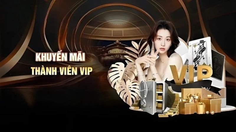 Khuyến mãi Ku88 đặc quyền VIP